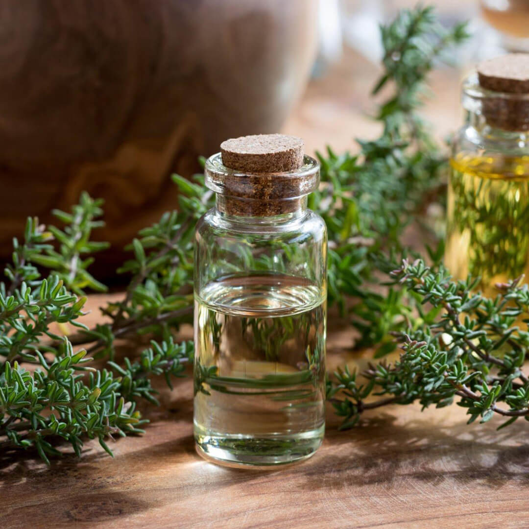Here Are Some Technical Details About Thyme Oil